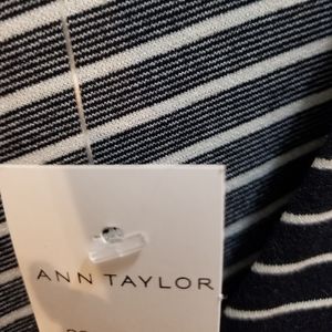 Ann  Taylor sweater